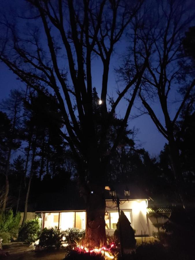 Fort Janowek Buitenkant foto